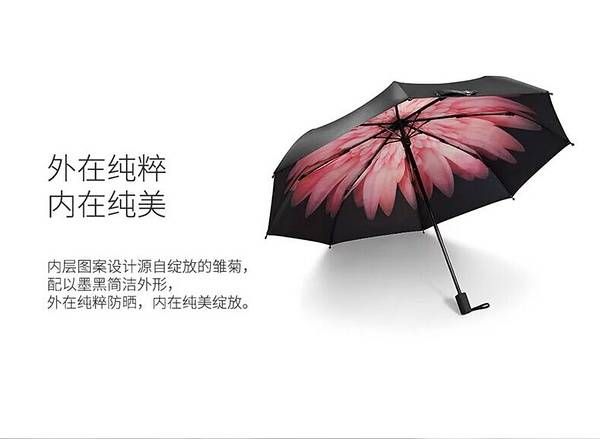 p27315851.jpg p27315851.jpg