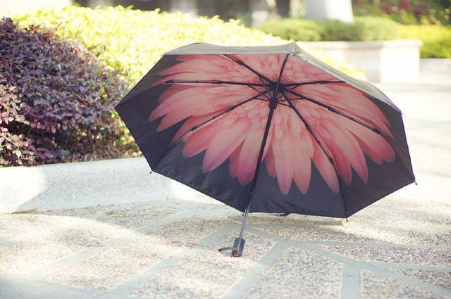 137042911.jpg 137042911.jpg